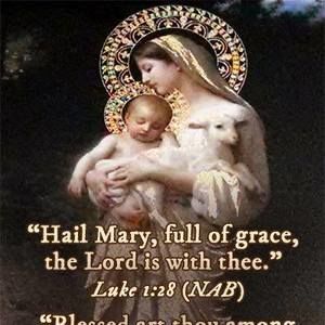 Meet your Posher, Rhonda